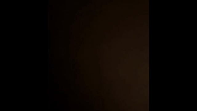 Смех и коты: Смешные видео, которые нельзя пропустить!