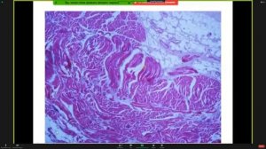 Консультация к 1 коллоквиуму | Кутукова К.А.