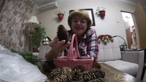 Уехала книга / Раз кресло, два кресло / Новогодние шишки 28 ноября 2018 г.