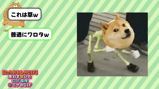 【2ch面白画像】このおもしろGIF画像で笑ったら寝ろｗｗw【ゆっくり解説】【コメ付き】【2chスレ】37