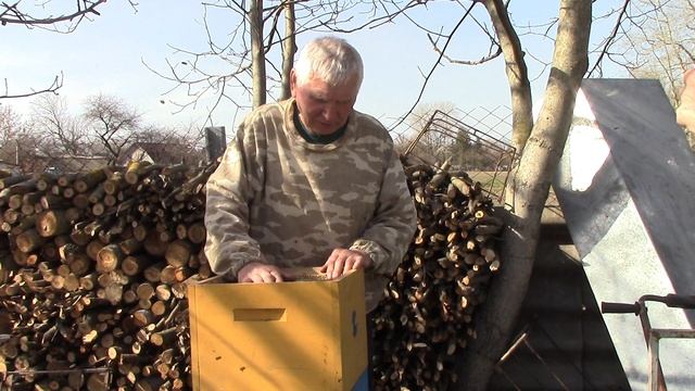 Особливості Вулика Бджоляра Винахідника Василя Приятеленко (8+8+8). Bees in Vasyl Priyatelenko Hive