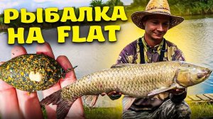 Крупный амур на ФЛЭТ-ФИДЕР, леска трещит, удочка в дугу, хороший улов и клёв Flat Feeder