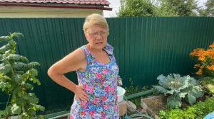 Ржака / Как вытащить легко занозу / По способу Любаньки 22 августа 2022 г.
