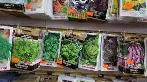 У бабушки свой «телевизор» / Борис Куклачёв / Магазин и закон. Молодцы. 9 апреля 2022 г.