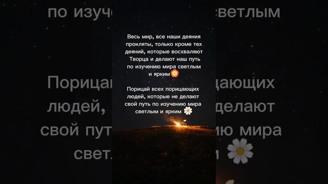 Мир проклят #мир #проклят #светлый #яркий #world #cursed #light #bright #shorts #short