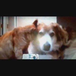 Ты без меня, я без тебя.