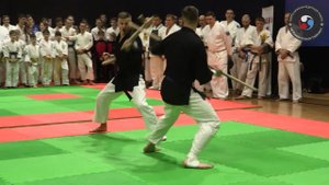 Тайхо-дзюцу. Показательное выступление команды Санкт-Петербурга. Кобудо, кубок России 2022.