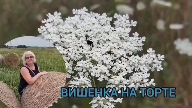 КОГДА ВЫ УЖЕ НАЖРЁТЕСЬ? ANYANASTYA LIFE. ОБЗОР.