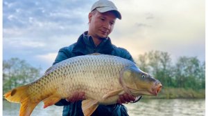 ЛОВЛЯ КАРПА ОСЕНЬЮ, ОСЕННЯЯ РЫБАЛКА