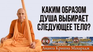 Каким образом Душа выбирает следующее тело?