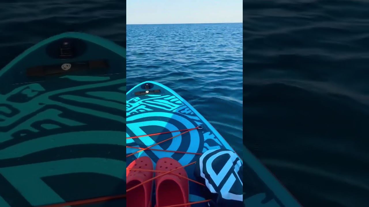 29 июля 2024 г.