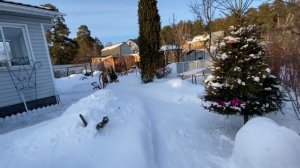 Птицы-хулиганы. Опять открутили кормушку  / Контейнеры и фитолампа для рассады / февраль 2021 г.