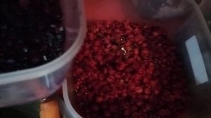 народный рацион питания долгожителей