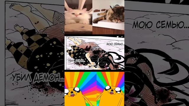 #tanjro #anime #hinokamitanjiro #demonslayer #mitsurikanjori #demonslayermitsuri #аниме #tanjirou смотреть онлайн