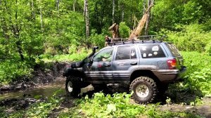 Нивы и Jeep перебираются через ручей в лесу