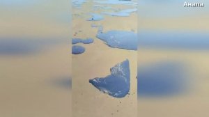 На Кубани нефтепродукты вынесло на берег после ЧП с танкерами Анапа