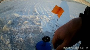 15 декабря 2024 счёт 1-1
