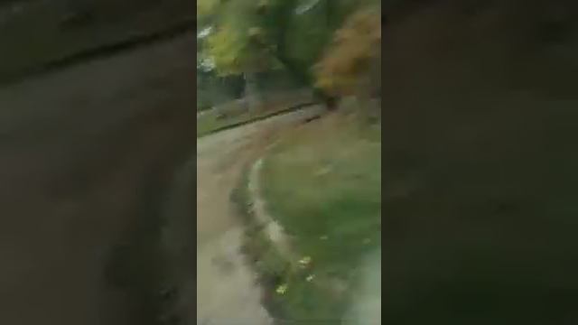 сиреноголовый не отстанет (сиреноголовый) #2