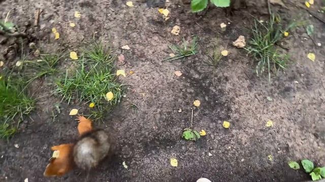 БОЛЬШОЙ ВЛОГ ремонт продолжается фасад дома готов шоппинг