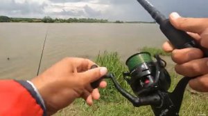 Тут ловится и карп и крупный лещ, хороший клёв рыбы на флэт фидерную снасть