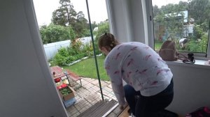 ВЛОГ Гитара и Борис / Гитара - ударный инструмент  / Дорогой йорк 15 июня 2019 г.