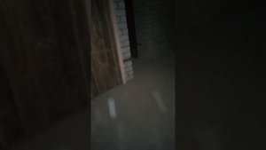 ПРИЗРАК???!!! Странные звуки в подвале!!!