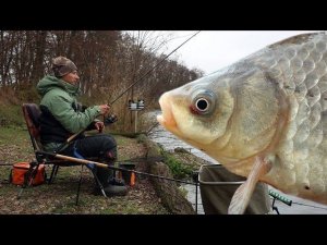 Зимняя рыбалка, его тут очень много, прям жор, рыбалка на карася, наловил много рыбы