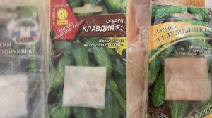 Какие огурчики буду сажать / Никогда не посажу / Какой канал смотрю и он мне нравится 13 мая 2022 г.