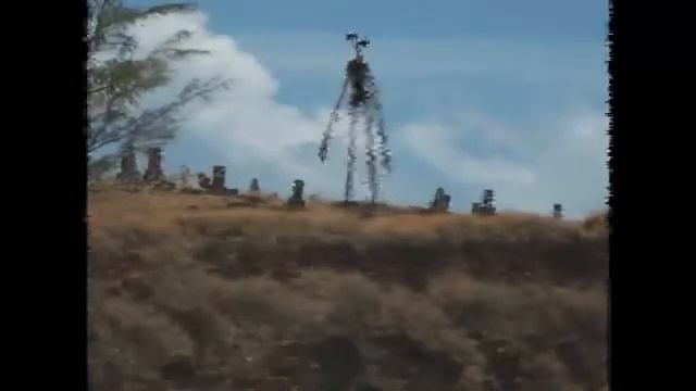 Звуки,транслируемые сиреноголовым