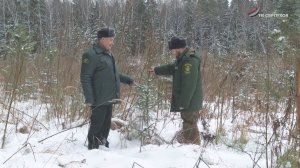 В Серпухове стартовала "Операция ёлочка"