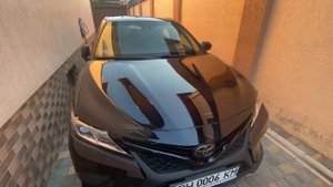 Как убрать пятна от птичьего помёта?