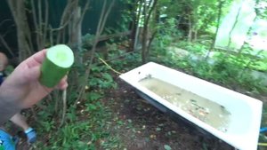 ВЛОГ Не сажайте такие огурцы  / Оливье тазиками  / Дача превращается в ДОМ 7 августа 2020 г.