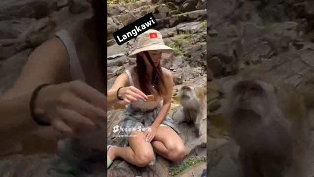 Путешествие по острову Лангкави #langkawi #shorts #malaysia