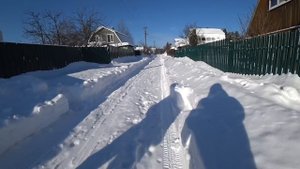 ПРОВОЖАЕМ ДОЧЬ / «Мустафа дорогу строил...» / Завязли в снегу / Мои петунии 15 февраля 2021 г.