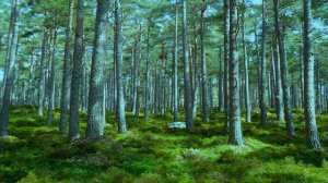 Романс " Мы вышли в сад"