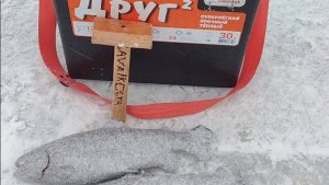 Комаровка лед открытие