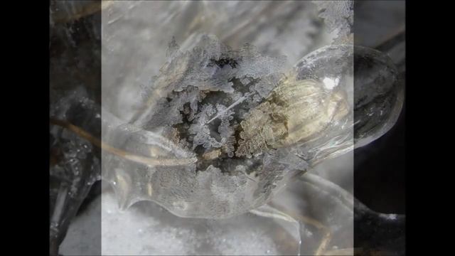 Анненский И Желание смотреть онлайн