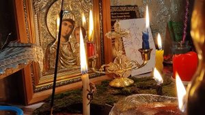 Вернуть переклад болезней,,хозяину,,Чистка с защитой