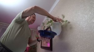 ВЛОГ Рецепт не получился, руки крюки  / Белые кашпо / Эх, Борис  21 декабря 2018 г.