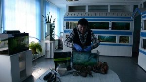 Как обустроить аквариум. Подробная инструкция.