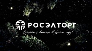 Росэлторг: остаёмся вместе в Новом году