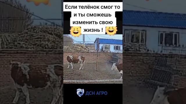 А вы хотите изменить свою жизнь? Заказывайте поилки от "ДСН АГРО"!