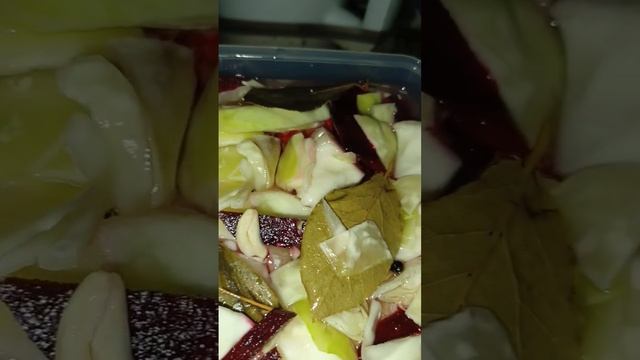 Рецепт ПЕЛЮСТКИ на сторінці #пелюстка #капуста #капустаназиму #капустаквашеная #капустарецепты #їжа