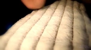 ASMR авиалинии