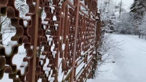 У нас снег, а у вас ? / Топчемся, помогаем  / Чебуреки обиделись и надулись  4 декабря 2021 г.