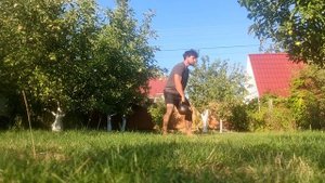 Крутая тренировка с гирей на мышцы рук, ног,  корпуса и плеч. Упражнения на силу и выносливость.