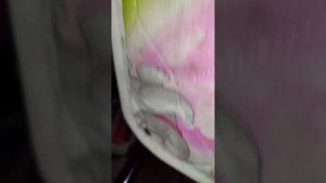 Дезинсекция от клопов и тараканов в Пушкино