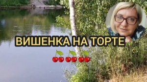 ПИЩЕВОЙ РАЗВРАТ. ЮЛЯ СТАР! ОБЗОР.