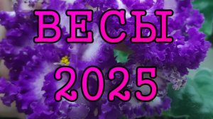 ВЕСЫ таро прогноз на 2025 год по 12 домам гороскопа.
