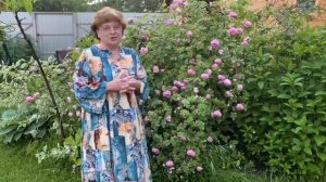 Посылка от Рита Мода / Сюрприз в посылке  / Примерка и отзыв / Платья из Италии  21 июня 2020 г.